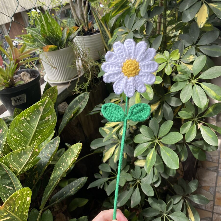 Crochet Flowers 4